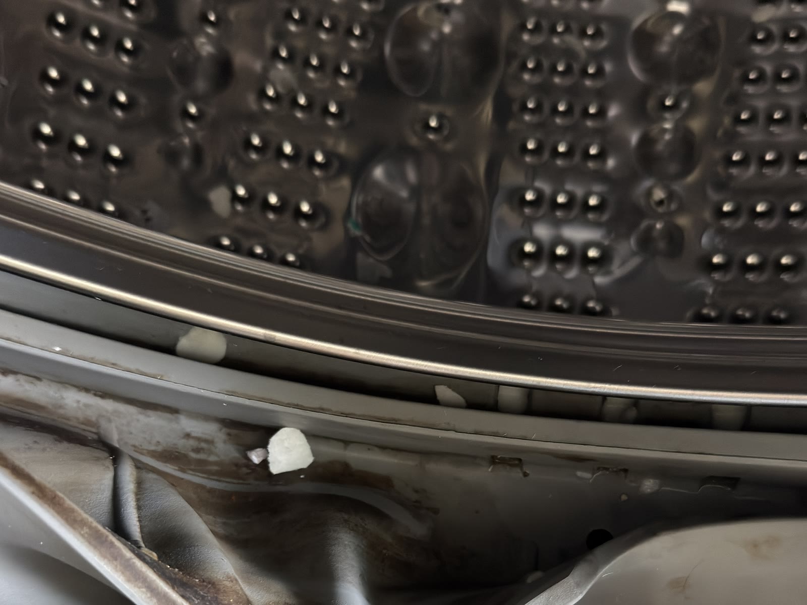 LG Washer Boot Gasket Replacement in San Ramon, CA repair photo