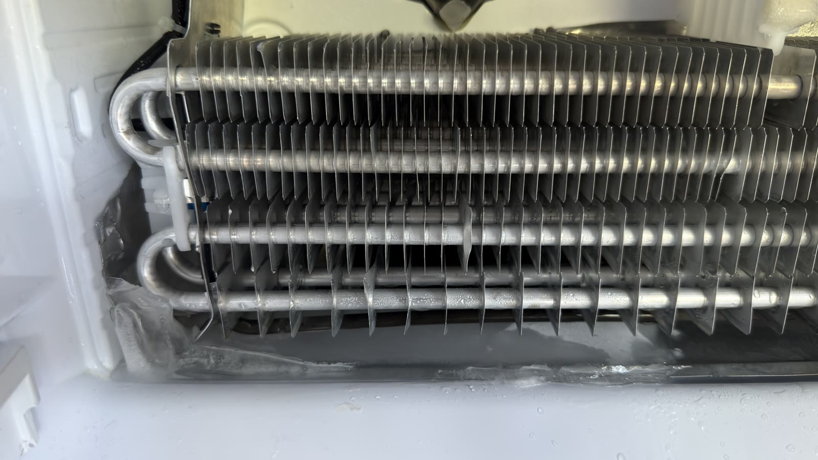 Kenmore refrigerator evaporator coil area after defrost and cleaning