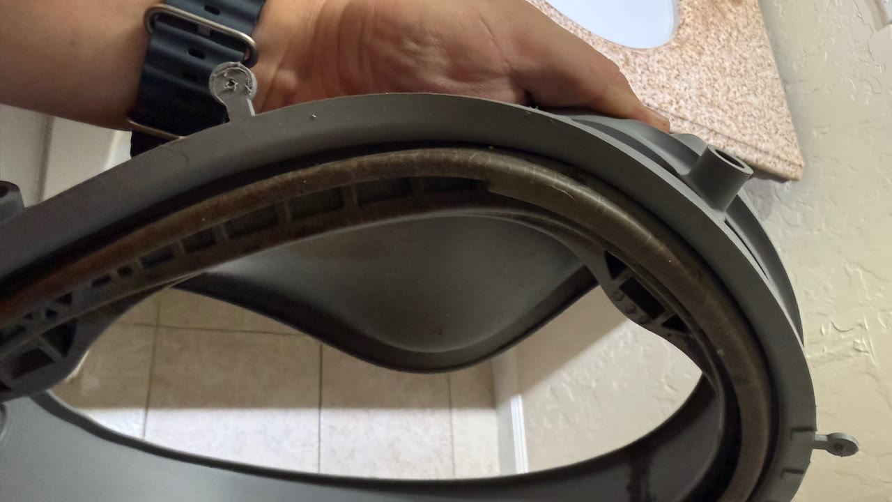 Removed dirty LG front-load washer door boot gasket showing concealed mold in Danville CA